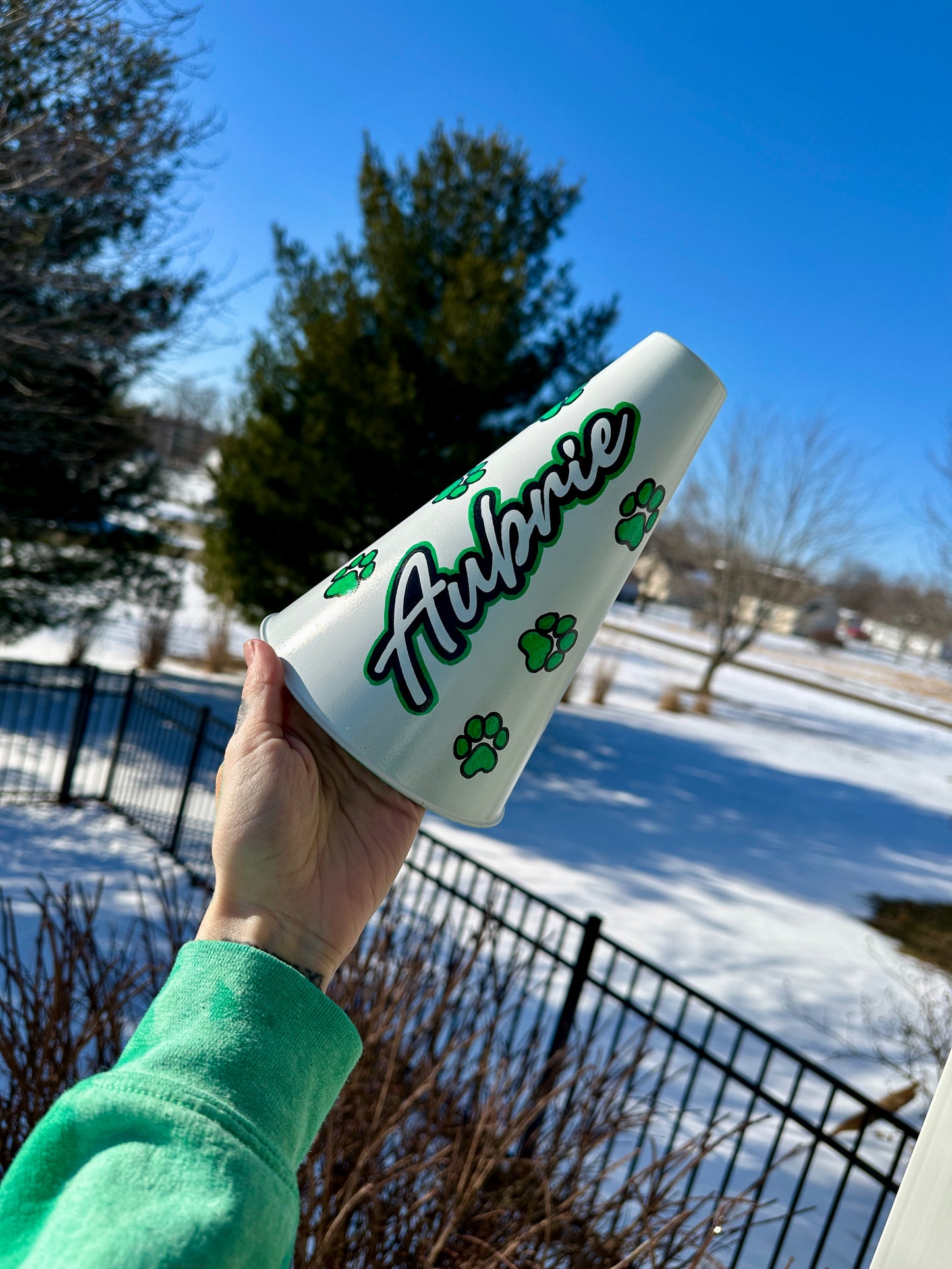 Megaphone | Custom Hand Painted Sports