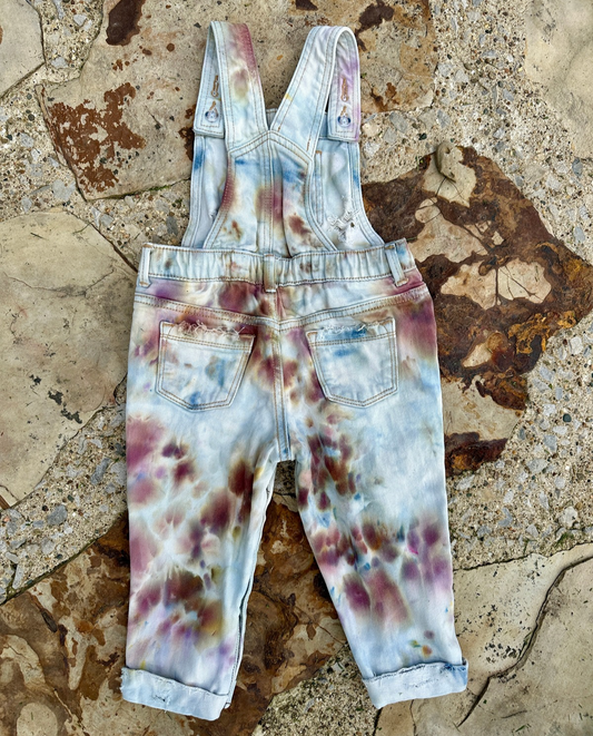 OOAK | Distressed Mushroom Overalls | Size 2T