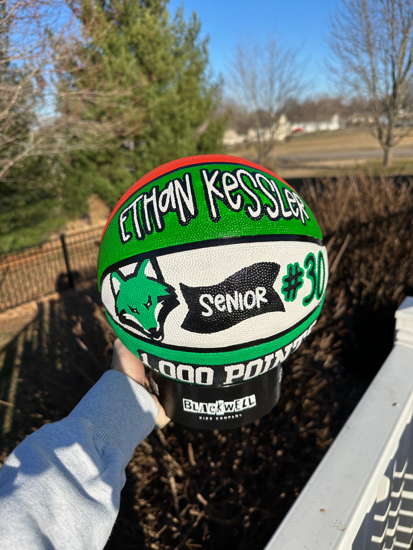 Basketball | Custom Hand Painted Sports