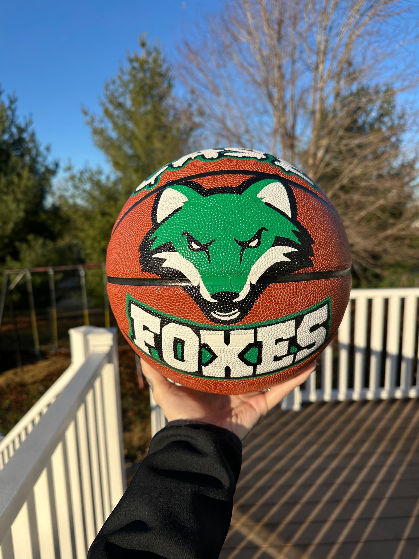 Basketball | Custom Hand Painted Sports