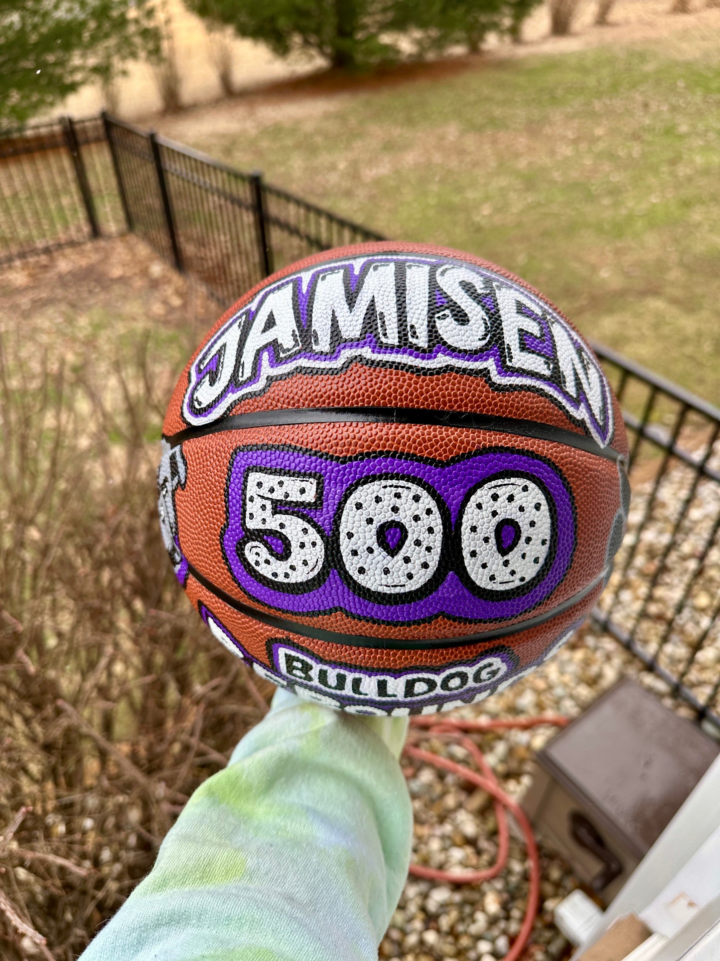 Basketball | Custom Hand Painted Sports