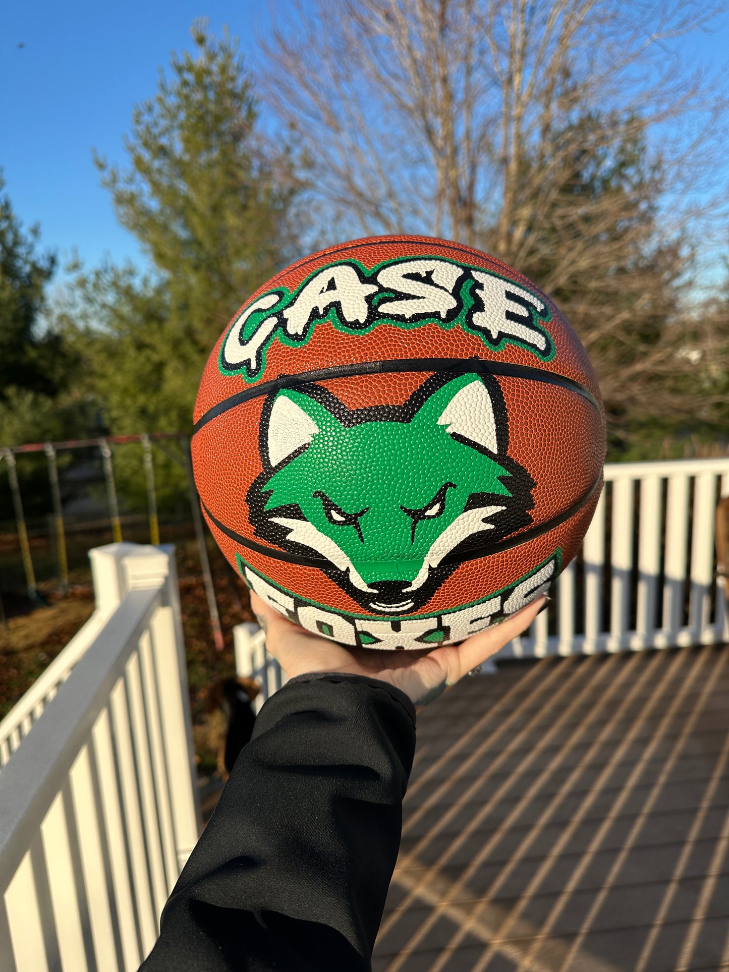 Basketball | Custom Hand Painted Sports
