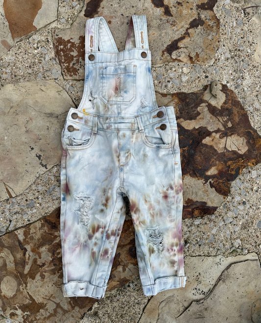 OOAK | Distressed Mushroom Overalls | Size 2T