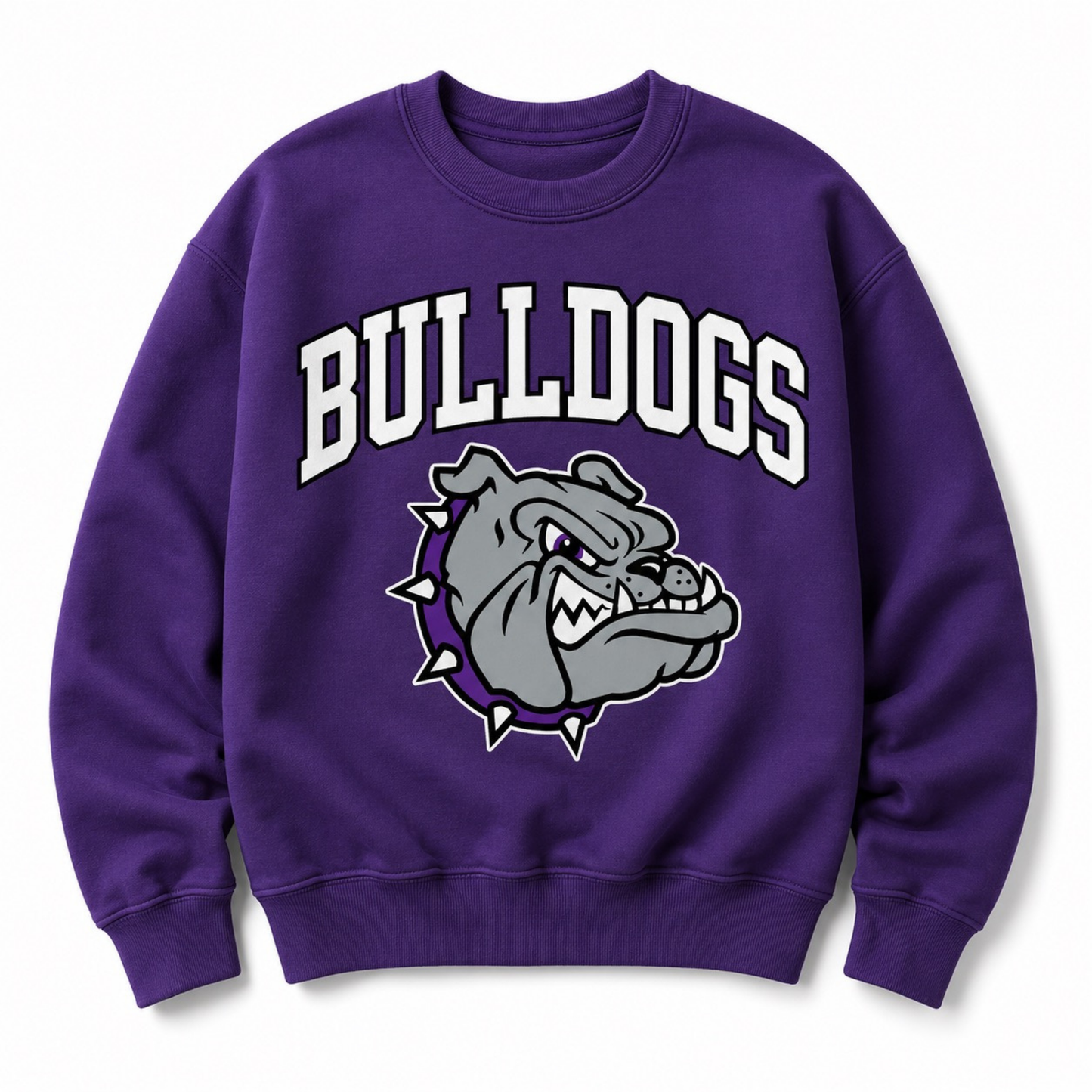 Bleacher Kids | Mascot Spirit Crew